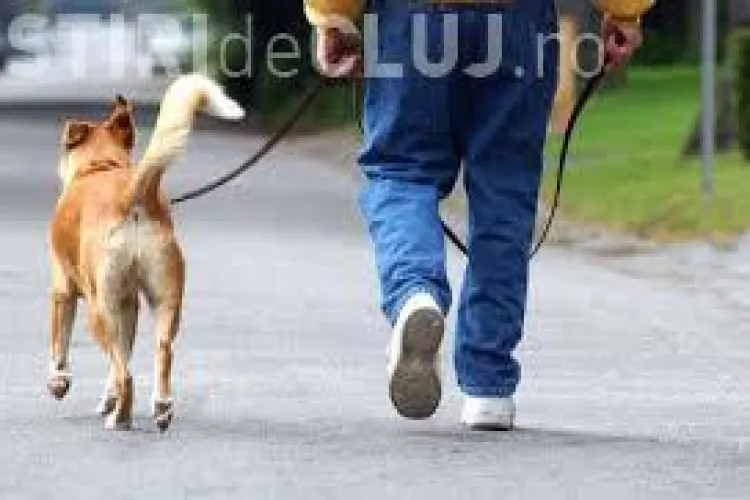 Mai mulți clujeni se plâng de stăpânii de câini care nu adună excrementele animalelor: Să presteze muncă în folosul comunității