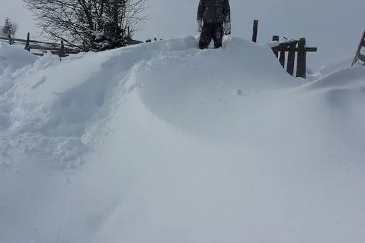Zăpadă de peste un metru la Cluj: Autoritățile sunt la chef - VIDEO / Primarul Prigoană spune că sunt minciuni