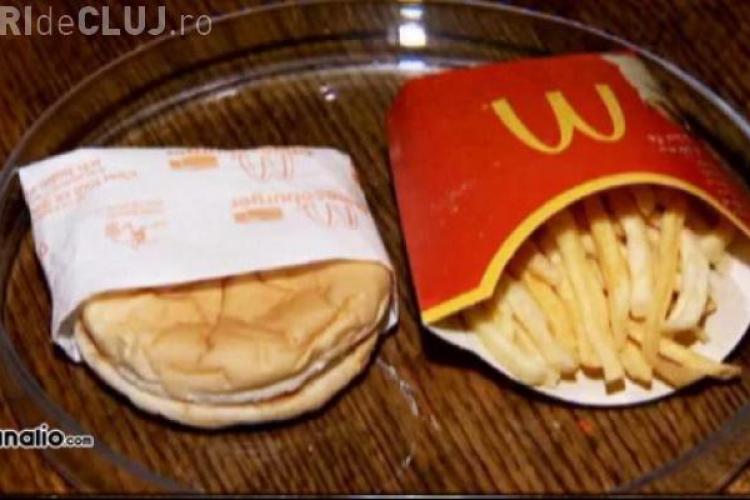 Cum arată un cheeseburger ținut 6 ani într-o pungă. Unii au mâncat cartofii prăjiți - VIDEO