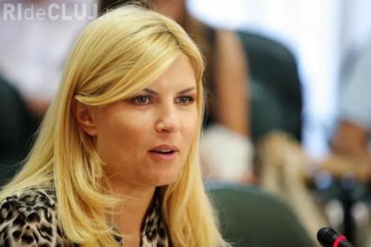 Elena Udrea acuză alți ministri din Guvernul Boc