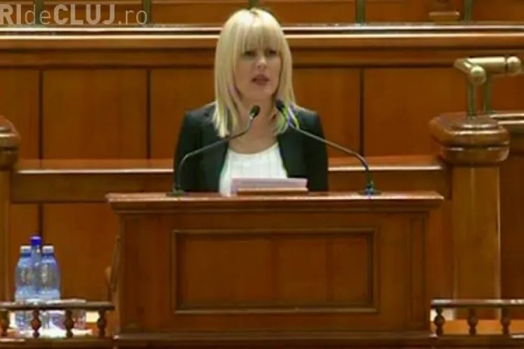 Elena Udrea, dezvăluiri din arest: M-au dezbrăcat