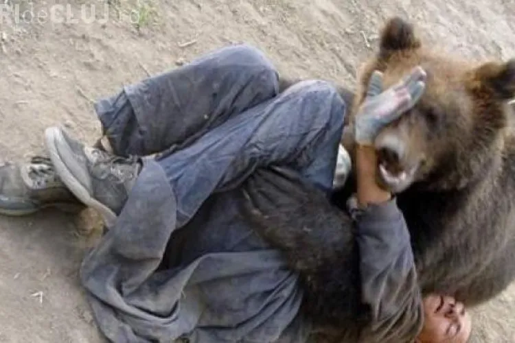 Un urs înfometat a atacat patru oameni la Cluj. Victimele povestesc scena de GROAZĂ