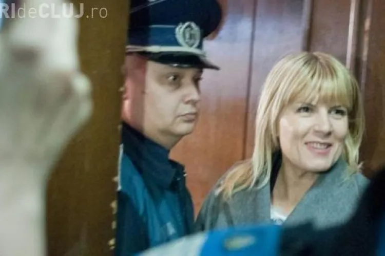 RUXANDRA DRAGOMIR o apără pe Udrea pe Facebook