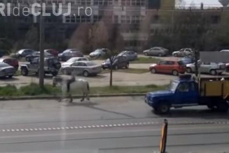 Bărbat mergând călare prin Cluj. A fost surprins pe Bulevardul Muncii VIDEO