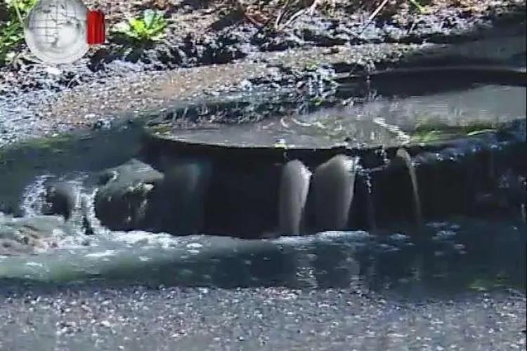 Floreștenii s-au trezit cu rahatul în stradă! După șobolani urmează alt CALVAR / UPDATE: ”Vina e a floreștenilor”