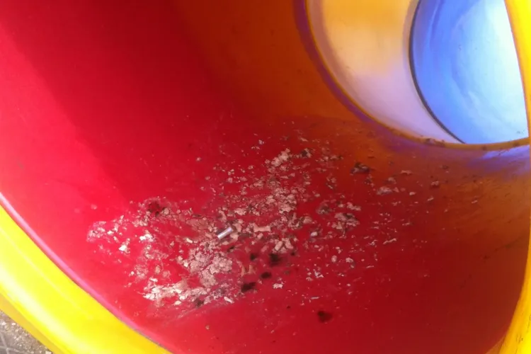 Un clujean s-a dus cu fiica lui în parcul din Mărăști. Ce a găsit acolo i-a produs GREAȚĂ - FOTO