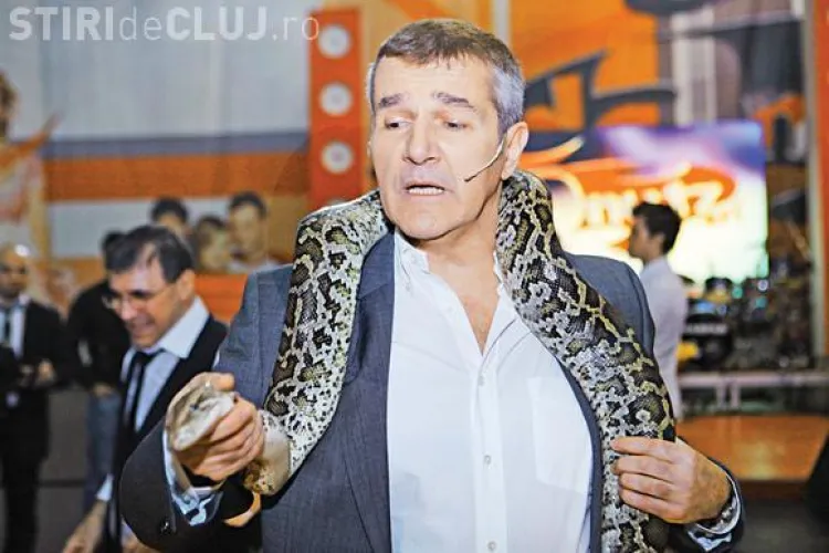 Bittman și Columbeanu au primit propuneri de a participa la "Sunt celebru, scoate-mă de aici”