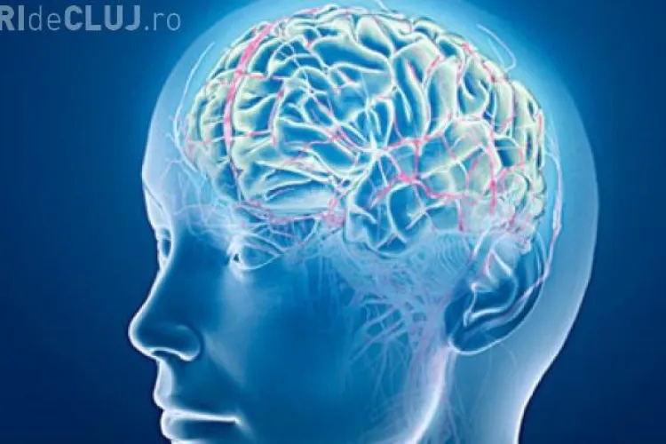 Ce sa mănânci ca să-ți cresti IQ-ul cu 20 de puncte