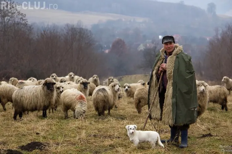 Sudiștii râd și zic că ardelenii vorbesc molcom. Care este explicația oficială