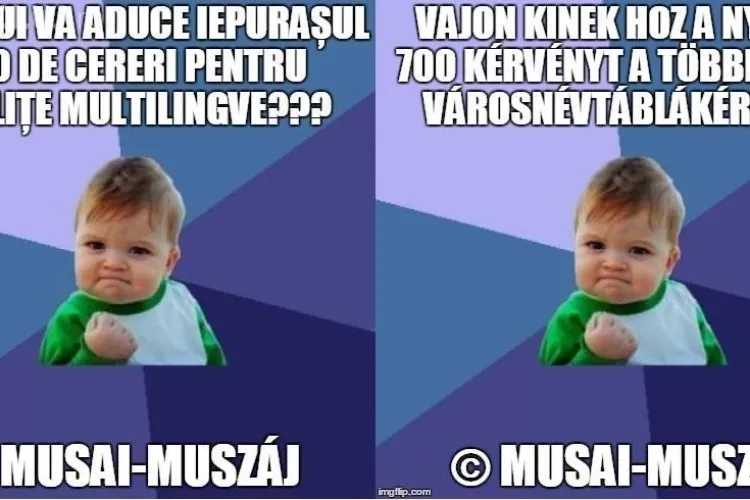 Maghiarii depun cereri în masă la Primăria Cluj-Napoca pentru amplasarea plăcuțelor trilingve