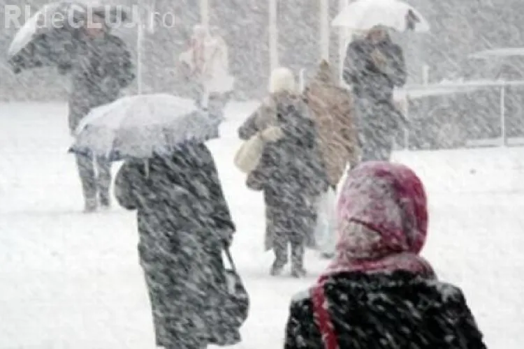 Vin NINSORI în jumătate de ţară