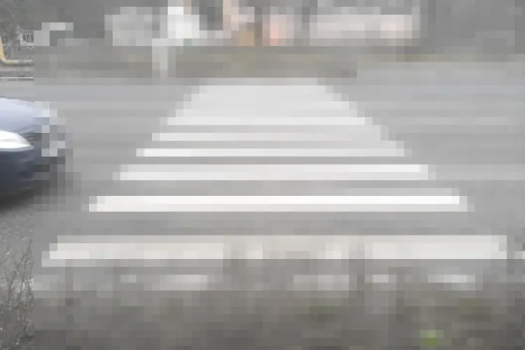 Cea mai TARE trecere de pietoni din Cluj-Napoca! Oamenii trebuie să sară gardul viu pentru a traversa - FOTO