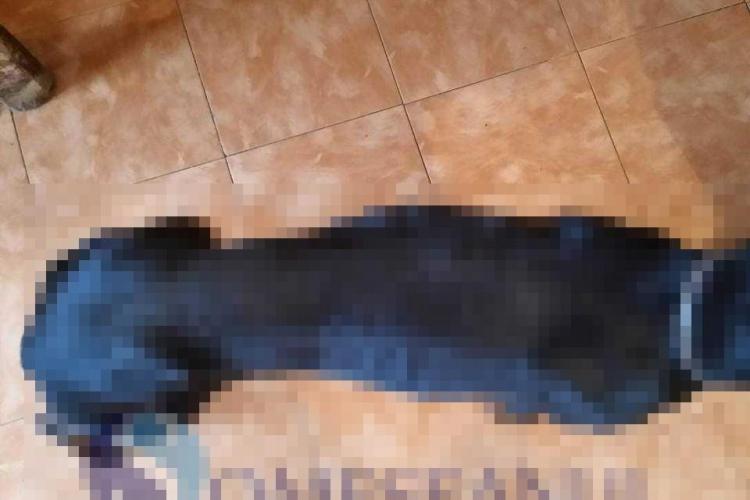 Un clujean a luat un câine de la adăpost, dar maltratat bietul animal - FOTO