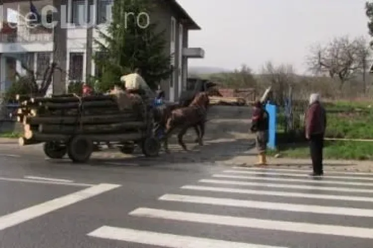 Clujeni prinși cu lemnul furat în căruțe. Au fost opriți de polițiști și duși la secție VIDEO