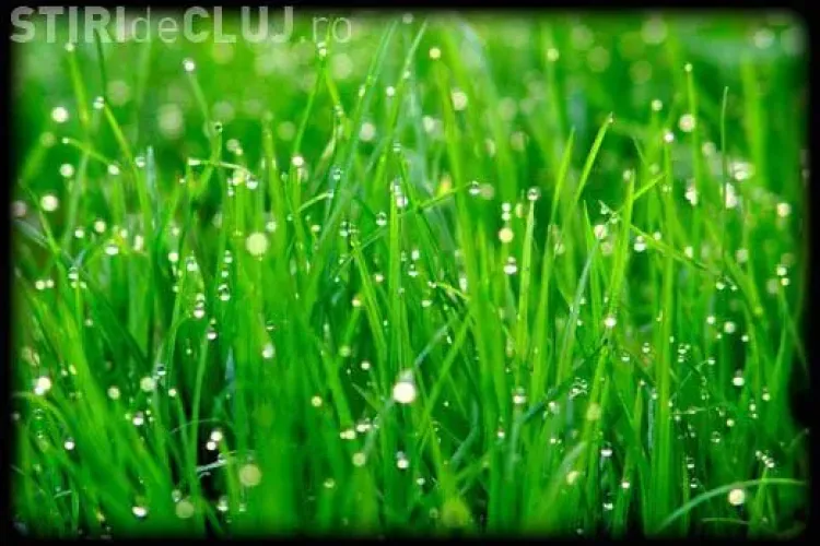 Clujul VERDE! Fotografia care face furori: Oare ar mai fi posibil așa ceva? - FOTO