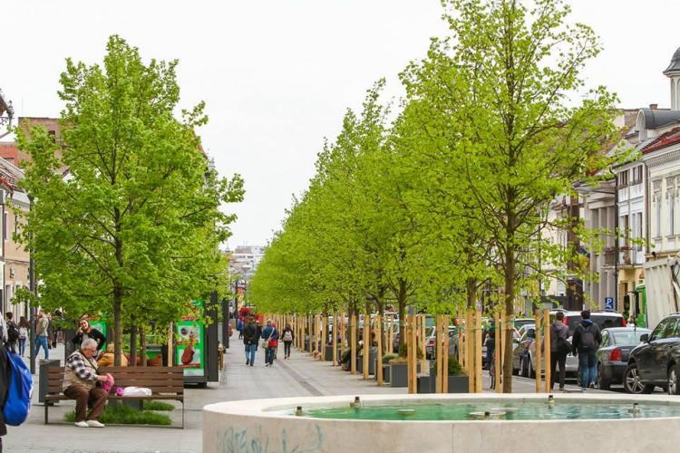 Centrul Clujului e din nou verde. Cum arată acum Bulevardul Eroilor FOTO