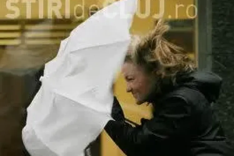 COD GALBEN de vânt la Cluj