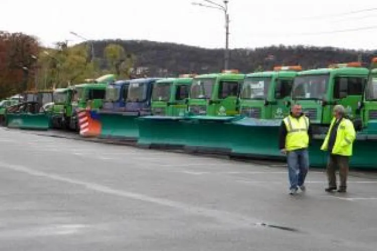 Rosal Cluj angajează muncitori (P)