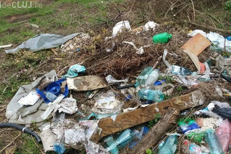 Șulea s-a apucat să îi amendeze pe floreștenii care nu își curăță terenurile. Rromii au fost trimiși la curățenie