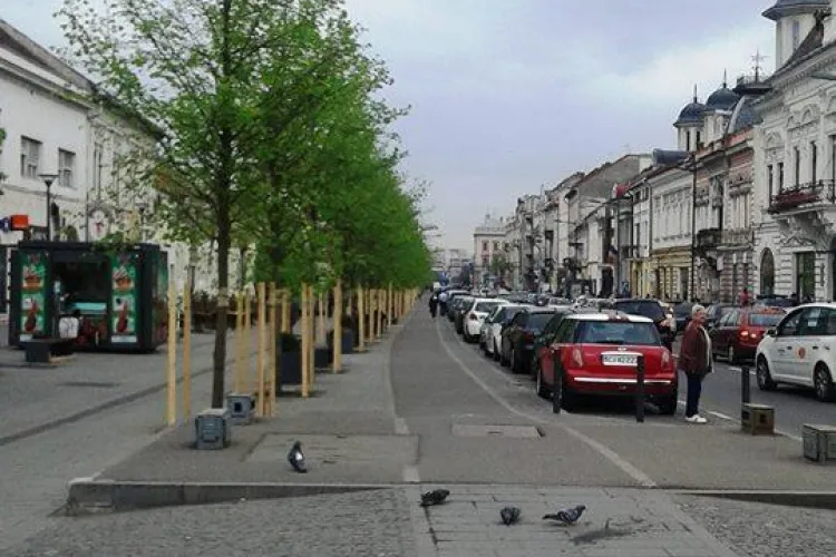 Bulevardul Eroilor este iarăși verde - FOTO