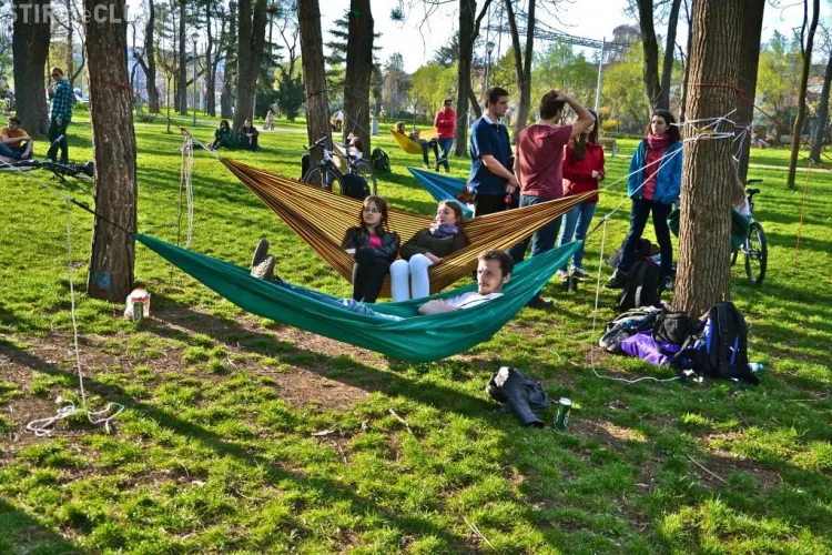 Când are loc Marea Hămăceală. Evenimentul riscă să distrugă copacii din Parcul Central
