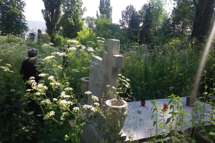 Cimitirul Central este un dezastru, chiar în ziua de Rusalii. Buruienile sunt de înălțimea unui om FOTO