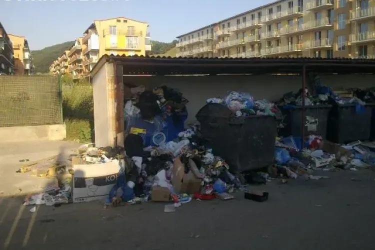 Poliția Locală Florești face RAZII pe linie de mediu și curățenie