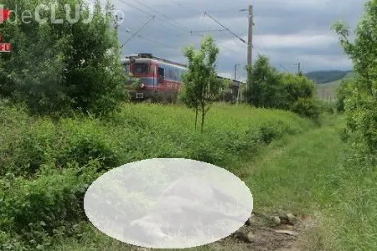 Scenă ORIBILĂ la Gherla! Un cal lăsat nesupravegheat a fost lovit de tren și aruncat câțiva metri mai departe